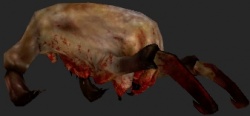 Headcrab